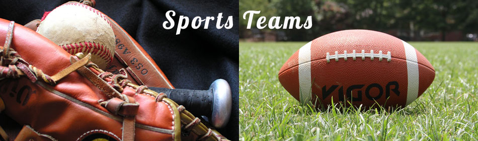Sports teams, football, baseball, hockey, minor league teams in the Willow Grove, Montgomery County PA area